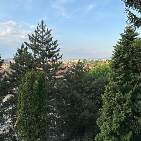 Central Luxury Apartment With City View Braşov Exteriör bild