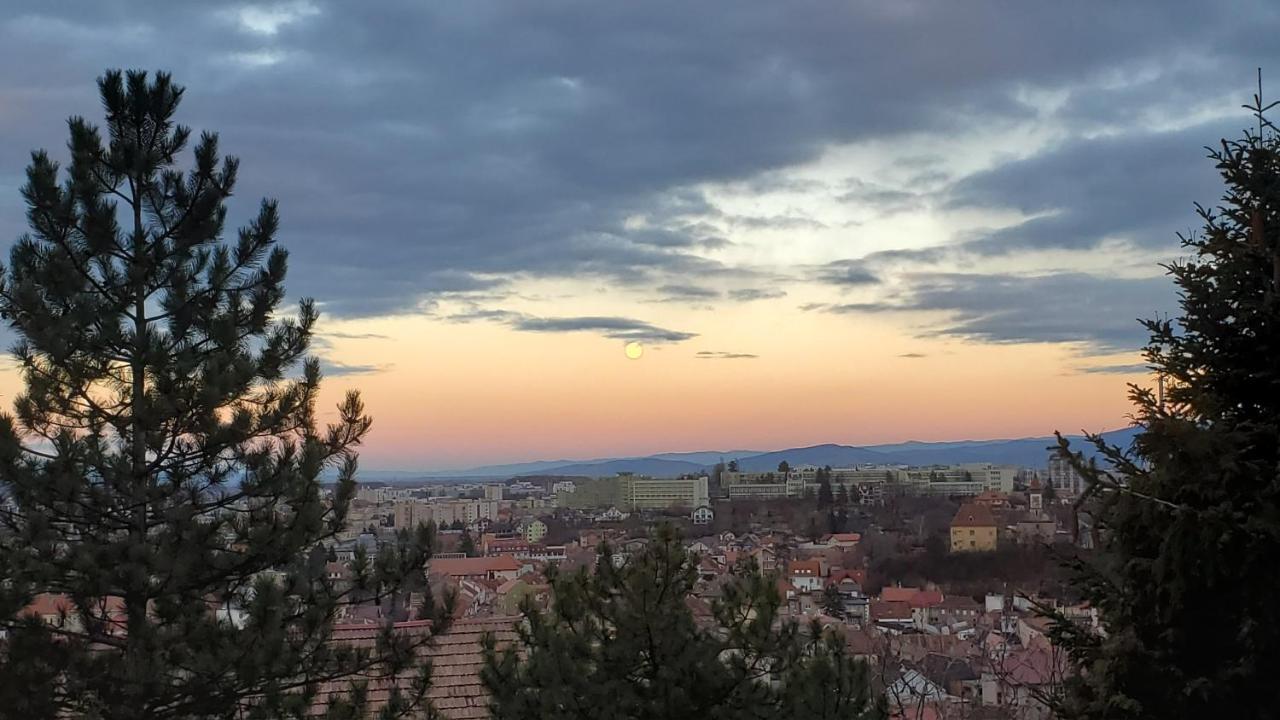 Central Luxury Apartment With City View Braşov Exteriör bild