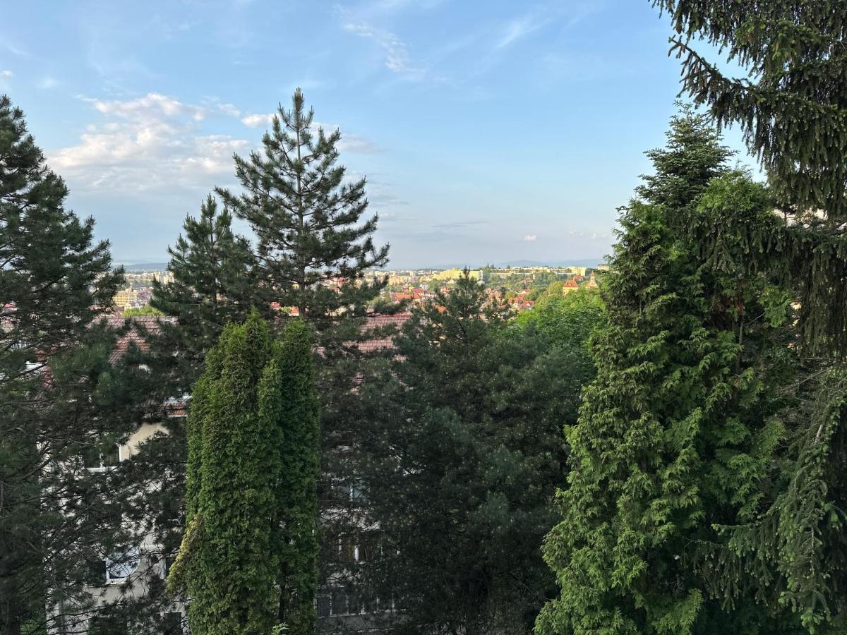 Central Luxury Apartment With City View Braşov Exteriör bild